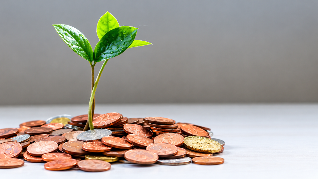 Young green plant sprout growing from pile of copper and gold coins on white surface symbolizing money growth and investment returns