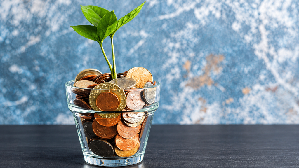 Green plant sprout growing from glass cup filled with coins symbolizing investment growth and money savings growth